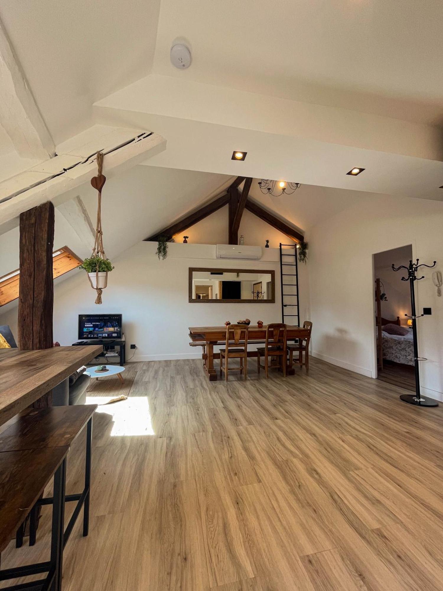 Cocon Sous Les Toits Albertville Exterior foto